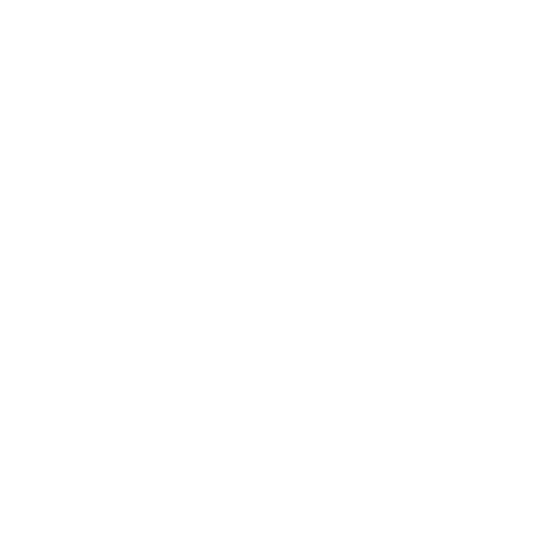 versatile icon, gear