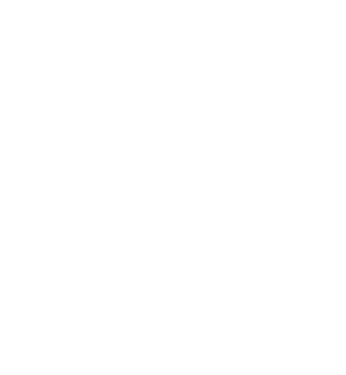 versatile icon, gear